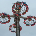 Ikarus - Blume & Wollenschläger (19).jpeg
